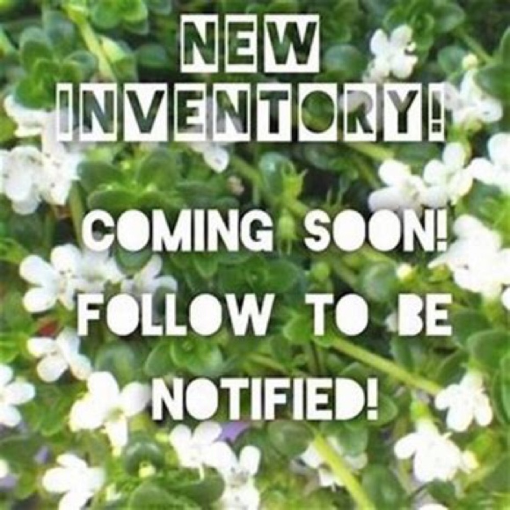 NEW INVENTORY COMING SOON!!!